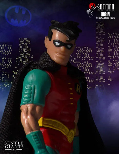 Retro Kenner 12inch Action Figure - Batman: The Animated Series Robinㅤ – Puella Magi Madoka Magica – ActionFigureBrasil