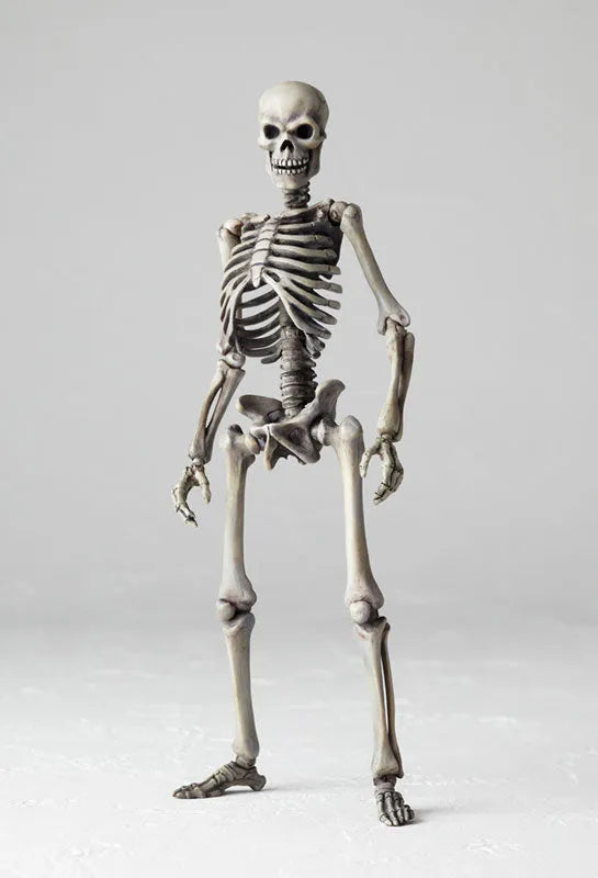 Revoltech Series No.020 Gaikotu Kenshiㅤ – Gantaku – ActionFigure Brasil