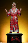 Ric Flair - LIMITED EDITION: 500 - ActionFigure Brasil