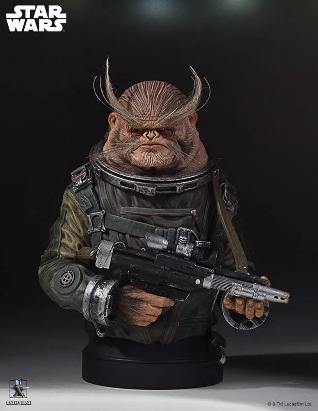 Rogue One: A Star Wars Story - Mini Bust: Bistanㅤ – Gantaku – ActionFigure Brasil
