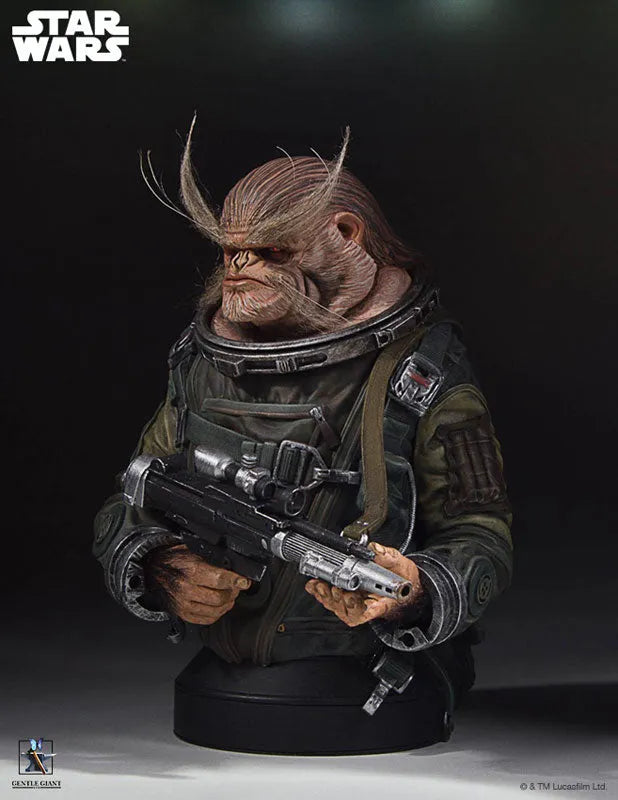 Rogue One: A Star Wars Story - Mini Bust: Bistanㅤ – Gantaku – ActionFigure Brasil