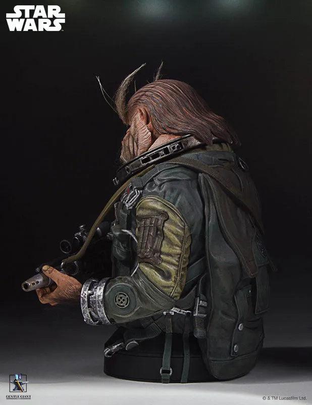 Rogue One: A Star Wars Story - Mini Bust: Bistanㅤ – Gantaku – ActionFigure Brasil
