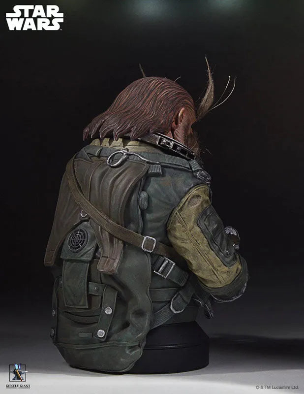 Rogue One: A Star Wars Story - Mini Bust: Bistanㅤ – Gantaku – ActionFigure Brasil