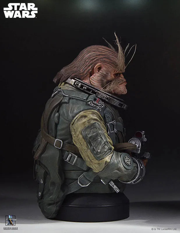Rogue One: A Star Wars Story - Mini Bust: Bistanㅤ – Gantaku – ActionFigure Brasil