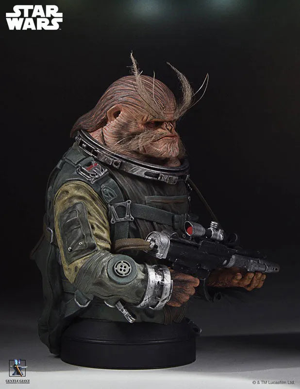 Rogue One: A Star Wars Story - Mini Bust: Bistanㅤ – Gantaku – ActionFigure Brasil