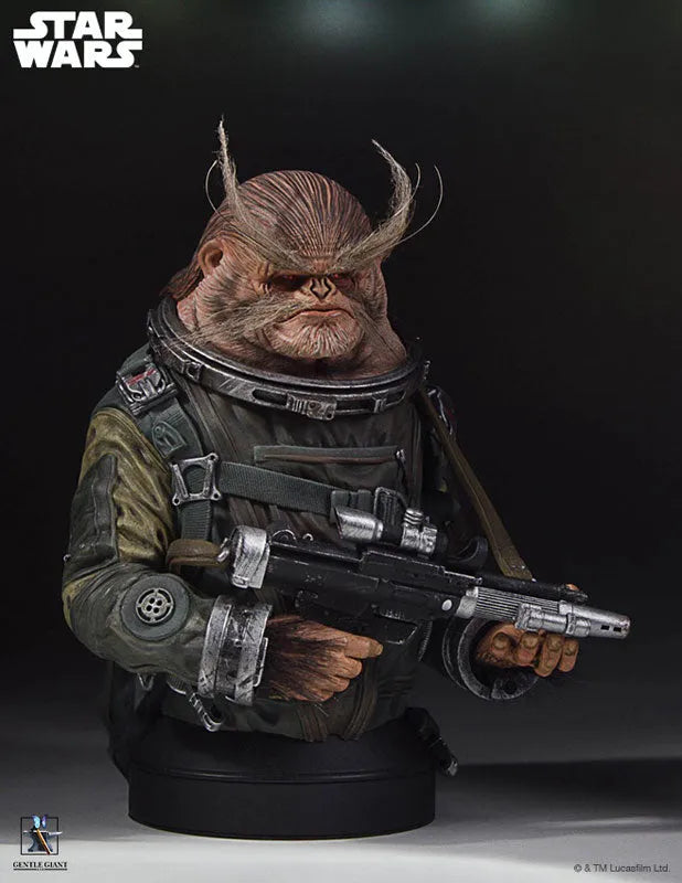 Rogue One: A Star Wars Story - Mini Bust: Bistanㅤ – Gantaku – ActionFigure Brasil