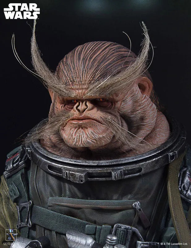 Rogue One: A Star Wars Story - Mini Bust: Bistanㅤ – Gantaku – ActionFigure Brasil