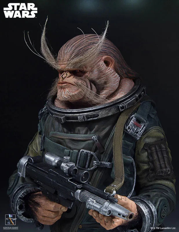 Rogue One: A Star Wars Story - Mini Bust: Bistanㅤ – Gantaku – ActionFigure Brasil