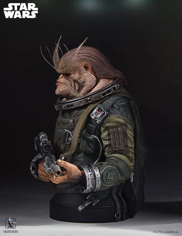 Rogue One: A Star Wars Story - Mini Bust: Bistanㅤ – Gantaku – ActionFigure Brasil