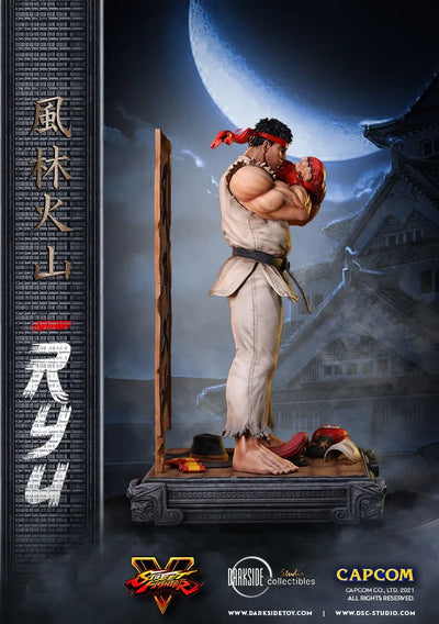 Ryu - LIMITED EDITION: 150 – DarkSide Collectibles Studio – ActionFigure Brasil — ambientada