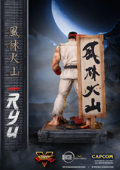 Ryu - LIMITED EDITION: 150 – DarkSide Collectibles Studio – ActionFigure Brasil — embalagem