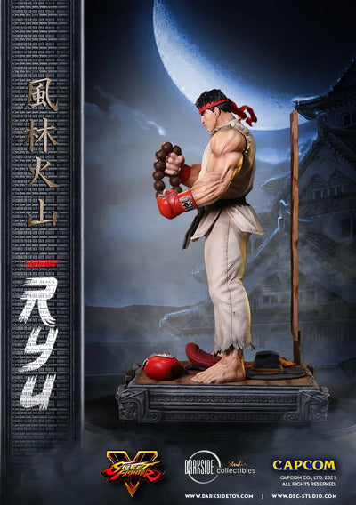 Ryu - LIMITED EDITION: 150 – DarkSide Collectibles Studio – ActionFigure Brasil — acessórios