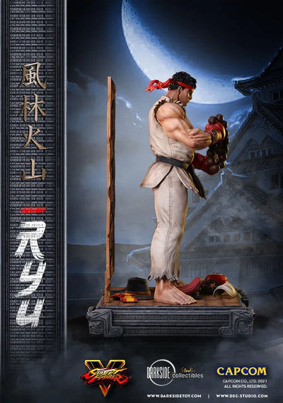 Ryu - LIMITED EDITION: 150 – DarkSide Collectibles Studio – ActionFigure Brasil — iluminação de estúdio