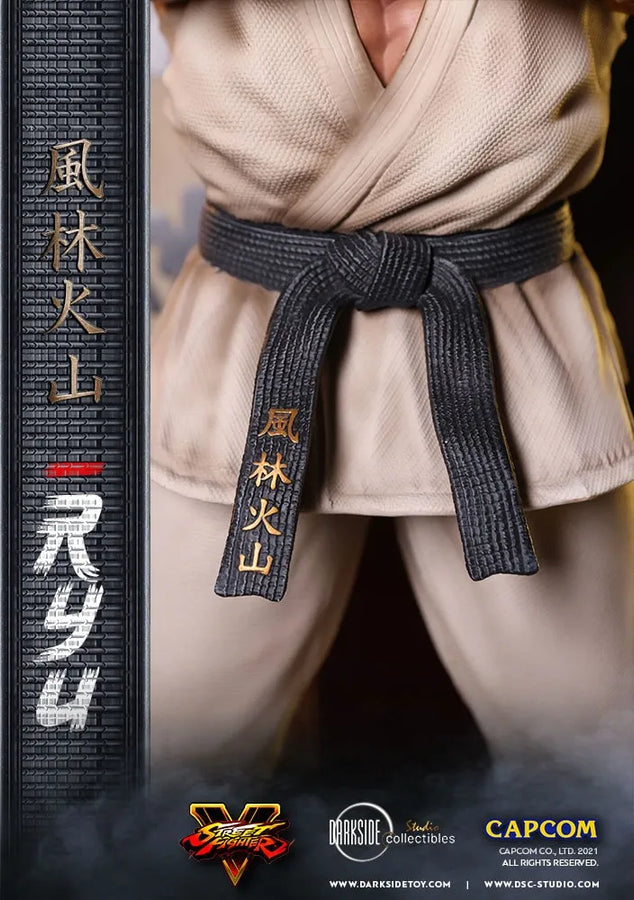 Ryu - LIMITED EDITION: 150 – DarkSide Collectibles Studio – ActionFigure Brasil