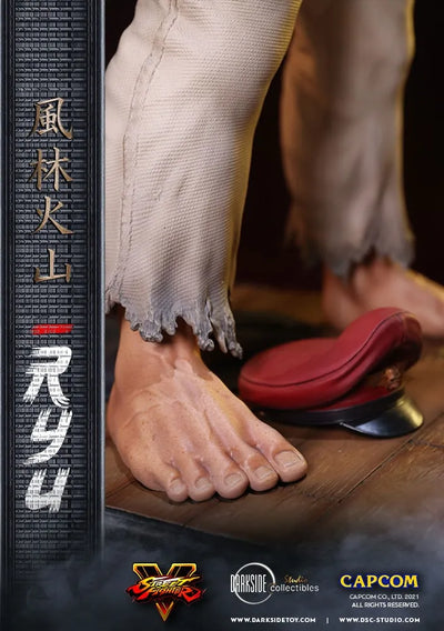 Ryu - LIMITED EDITION: 150 – DarkSide Collectibles Studio – ActionFigure Brasil — acessórios