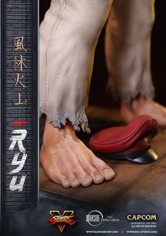 Ryu - LIMITED EDITION: 150 – DarkSide Collectibles Studio – ActionFigure Brasil