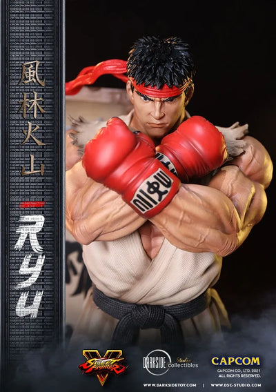 Ryu - LIMITED EDITION: 150 – DarkSide Collectibles Studio – ActionFigure Brasil — ambientada