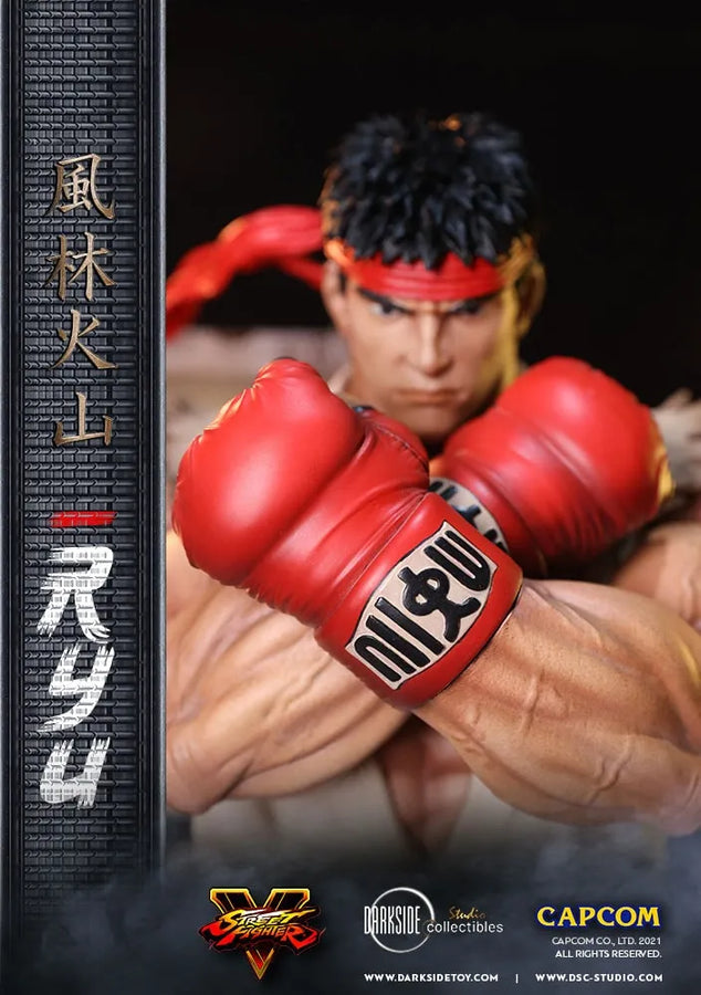 Ryu - LIMITED EDITION: 150 – DarkSide Collectibles Studio – ActionFigure Brasil