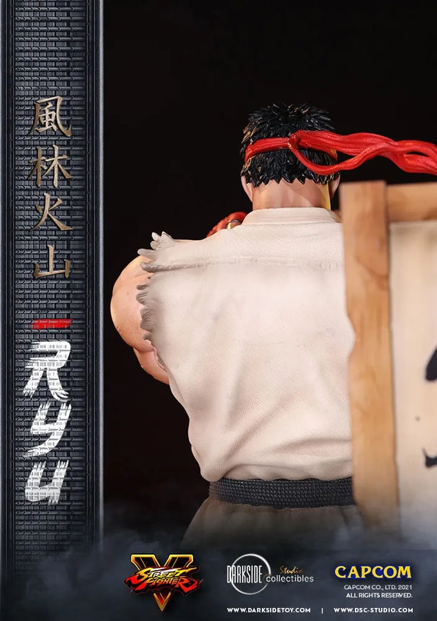Ryu - LIMITED EDITION: 150 – DarkSide Collectibles Studio – ActionFigure Brasil