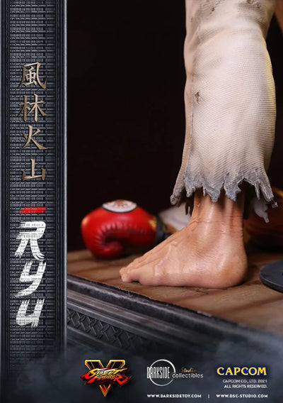Ryu - LIMITED EDITION: 150 – DarkSide Collectibles Studio – ActionFigure Brasil — ângulo diferente