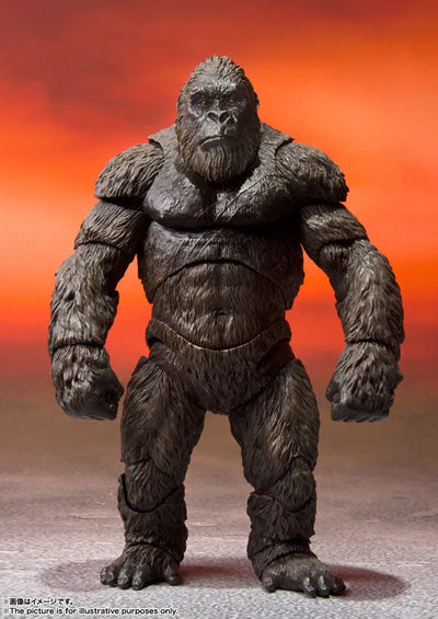 S.H.MonsterArts KONG from Movie "GODZILLA VS. KONG" (2021) (Name)ㅤ – Bandai Spirits – ActionFigure Brasil