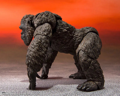 S.H.MonsterArts KONG from Movie "GODZILLA VS. KONG" (2021) (Name)ㅤ – Bandai Spirits – ActionFigureBrasil — ângulo diferente