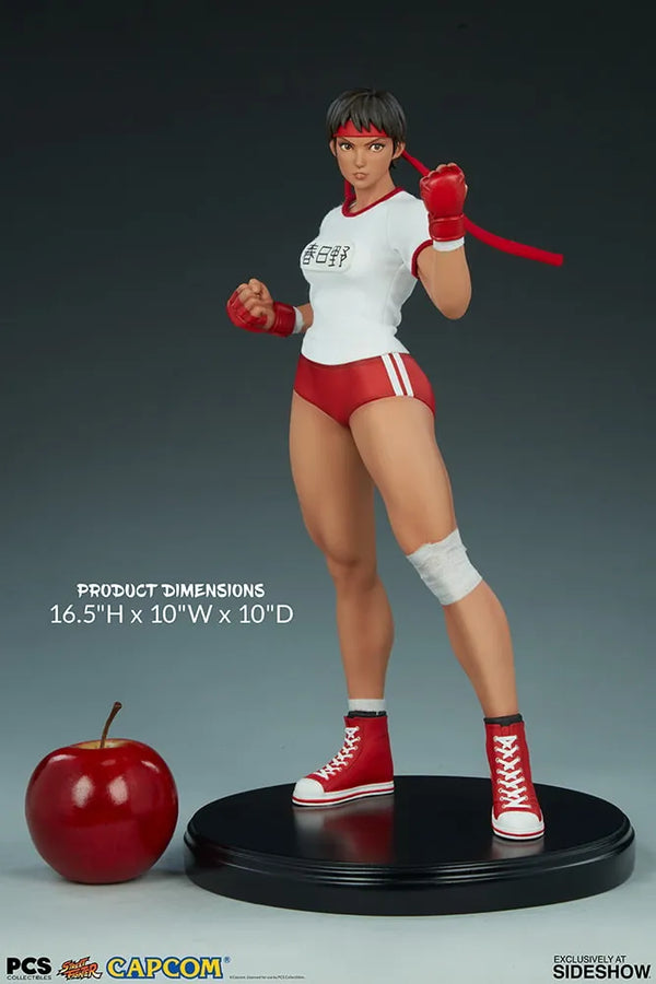 Sakura Gym - LIMITED EDITION: 400 (Exclusive) – PCS – ActionFigure Brasil