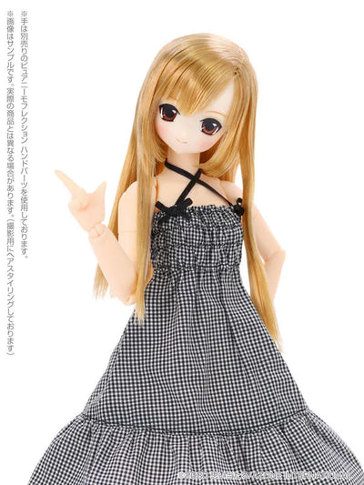 Sarah's a la Mode Lycee / Sweet Home! Coordination Doll set 1/6 Complete Dollㅤ – Azone – ActionFigureBrasil — embalagem