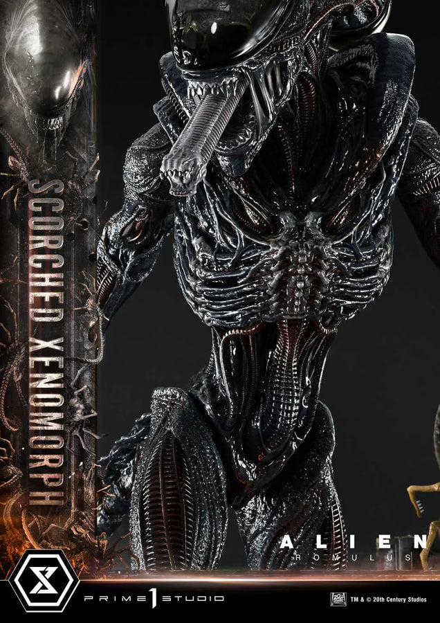 Scorched Xenomorph (Regular Version) Alien: Romulus – Prime1Studio – ActionFigure Brasil