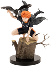 Shoyo Hinata