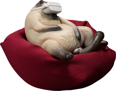 Siamese Cat – Manas SUM – ActionFigure Brasil — close