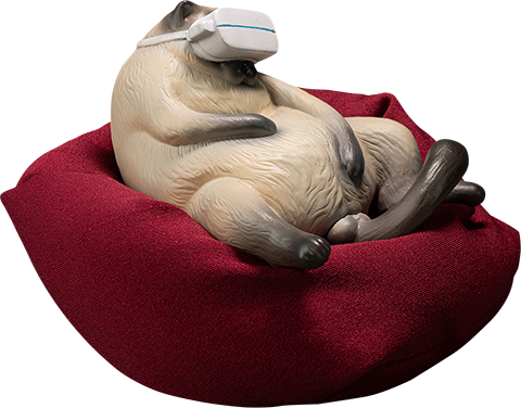 Siamese Cat – Manas SUM – ActionFigure Brasil