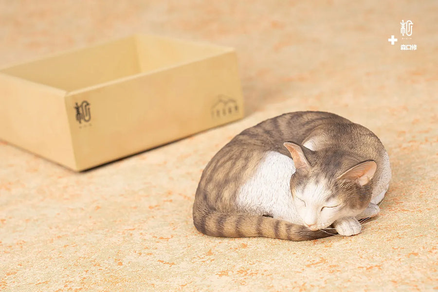 Sleeping Tabby Cat – Manas SUM – ActionFigure Brasil
