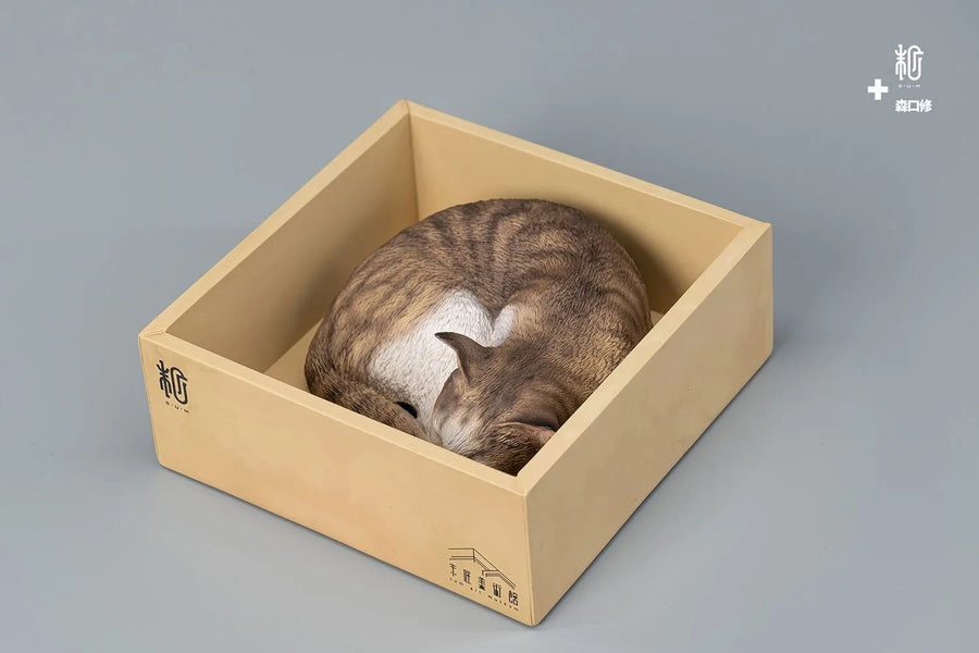 Sleeping Tabby Cat – Manas SUM – ActionFigure Brasil
