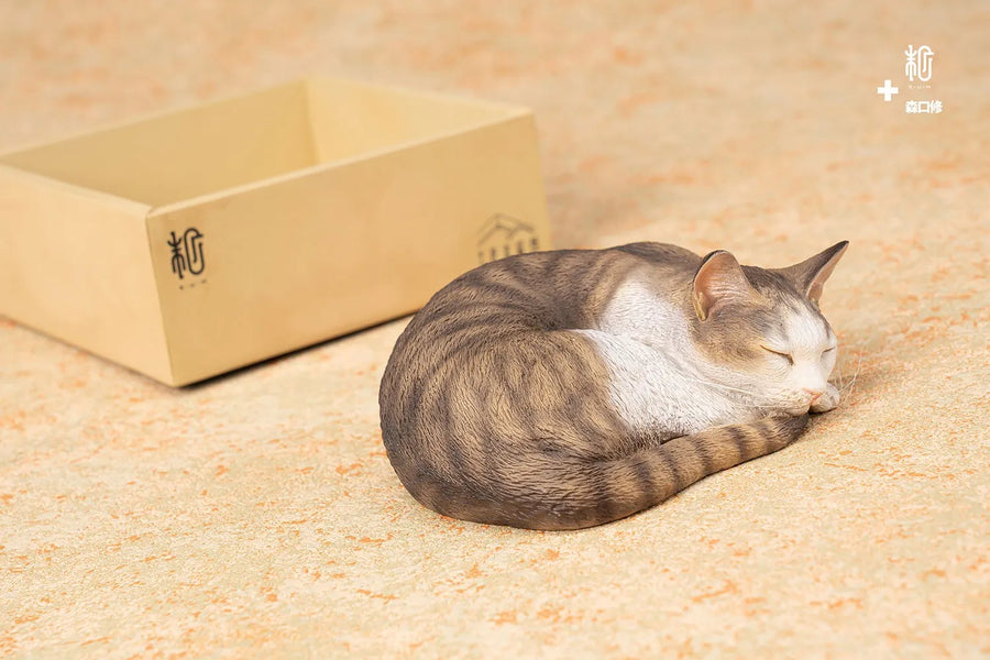 Sleeping Tabby Cat – Manas SUM – ActionFigure Brasil
