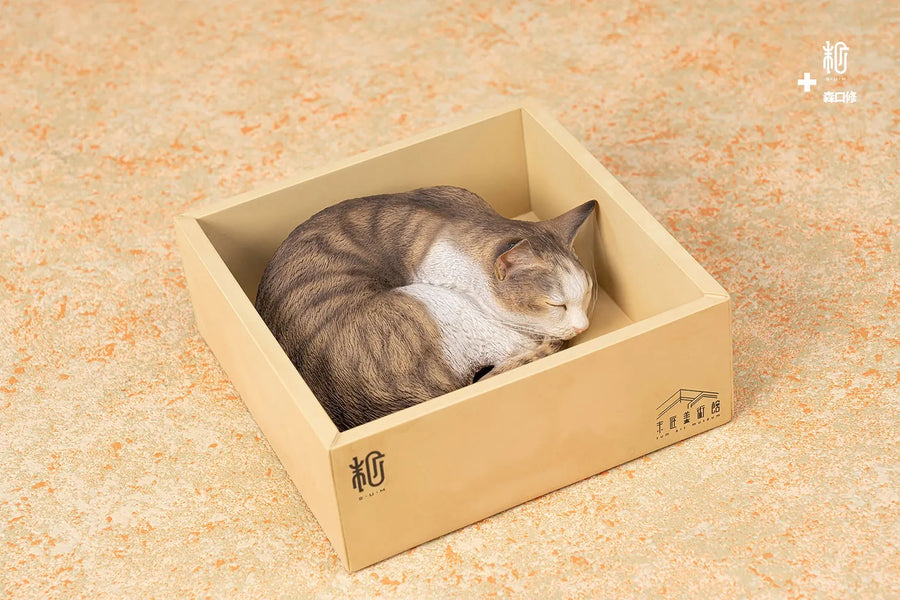 Sleeping Tabby Cat – Manas SUM – ActionFigure Brasil