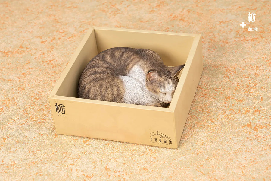 Sleeping Tabby Cat – Manas SUM – ActionFigure Brasil