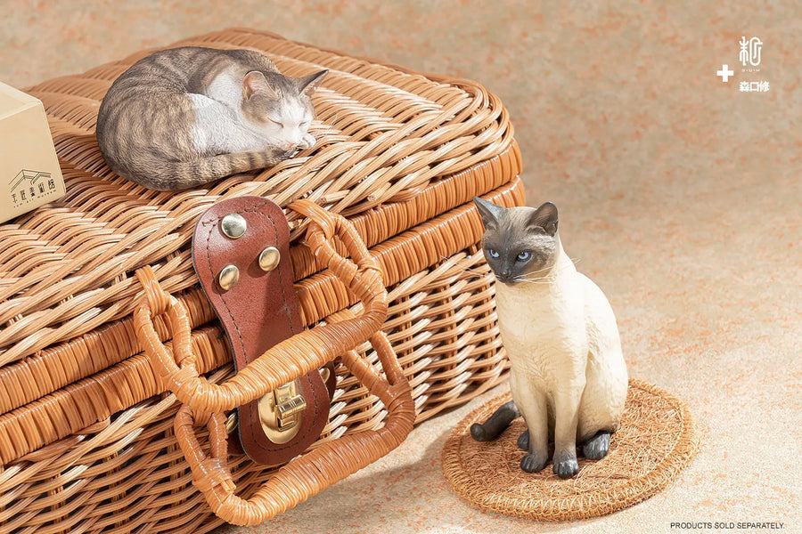 Sleeping Tabby Cat – Manas SUM – ActionFigure Brasil