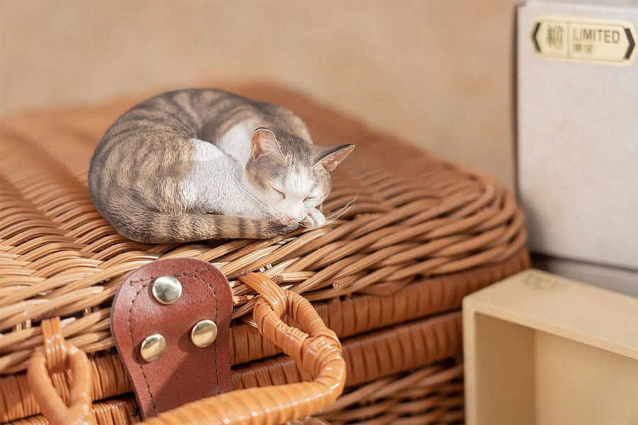 Sleeping Tabby Cat – Manas SUM – ActionFigure Brasil