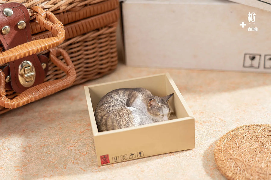 Sleeping Tabby Cat – Manas SUM – ActionFigure Brasil