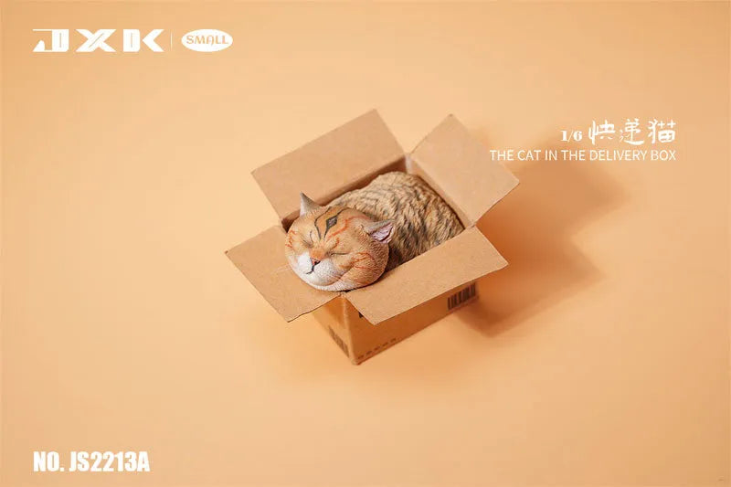 Small Cat in the Cardboard Box Aㅤ – JXK Studio – ActionFigureBrasil