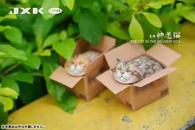 Small Cat in the Cardboard Box Aㅤ – JXK Studio – ActionFigureBrasil — ângulo diferente