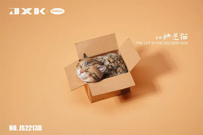 Small Cat in the Cardboard Box Bㅤ – JXK Studio – ActionFigureBrasil