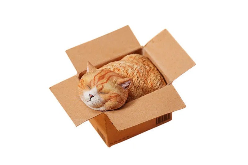 Small Cat in the Cardboard Box Cㅤ – JXK Studio – ActionFigureBrasil