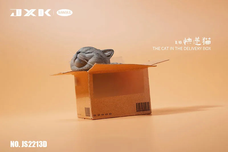Small Cat in the Cardboard Box Dㅤ – JXK Studio – ActionFigureBrasil