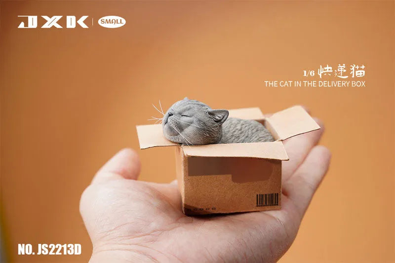 Small Cat in the Cardboard Box Dㅤ – JXK Studio – ActionFigureBrasil