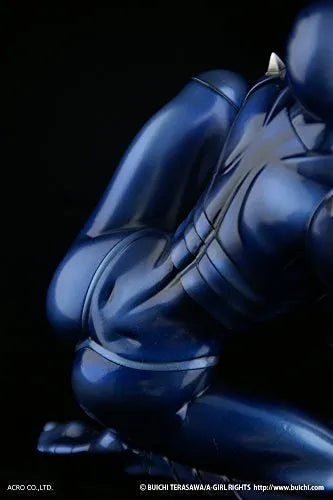 Space Adventure Cobra - Armaroid Lady - 1/6 (Dunk, Acro)ㅤ – Acro As Distributor,Dunk As Manufacturer – ActionFigure Brasil