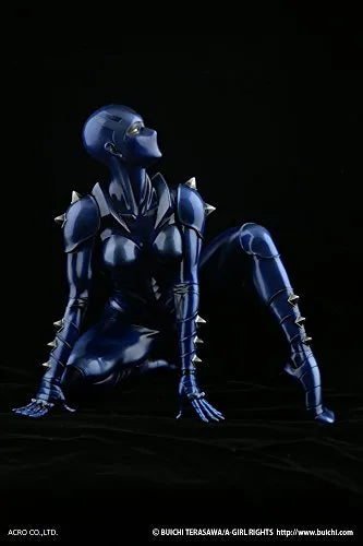 Space Adventure Cobra - Armaroid Lady - 1/6 (Dunk, Acro)ㅤ – Acro As Distributor,Dunk As Manufacturer – ActionFigure Brasil — close