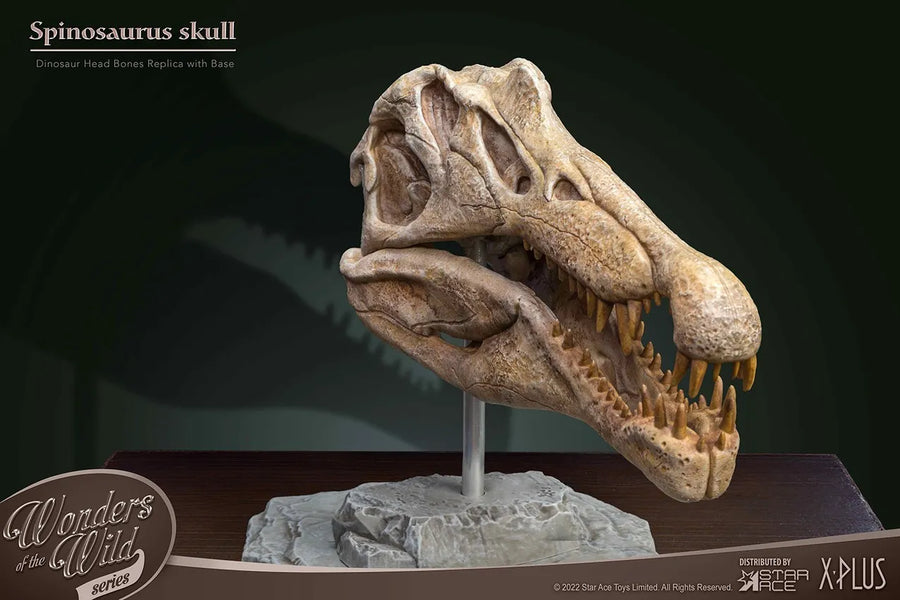 Spinosaurus Head Skull – Star Ace Toys Ltd. – ActionFigure Brasil