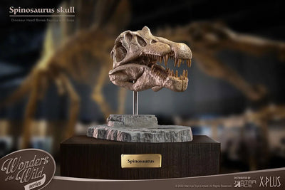 Spinosaurus Head Skull – Star Ace Toys Ltd. – ActionFigure Brasil — detalhe do produto